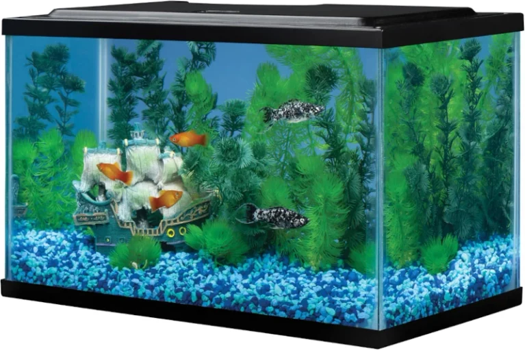 Tetra 5.5 Gallon Glass Aquarium for Guppy